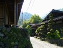 赤沢宿の旅館の前にある個性的な植栽と石垣の隙間に生える力強い草草と町並み写真
