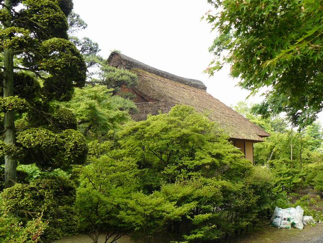 ���c�Ə��@