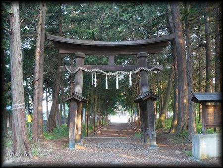 美和神社境内に設けられた大きな木製鳥居と聖域を感じさせる杉林
