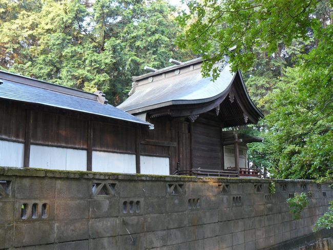 ���a�_��