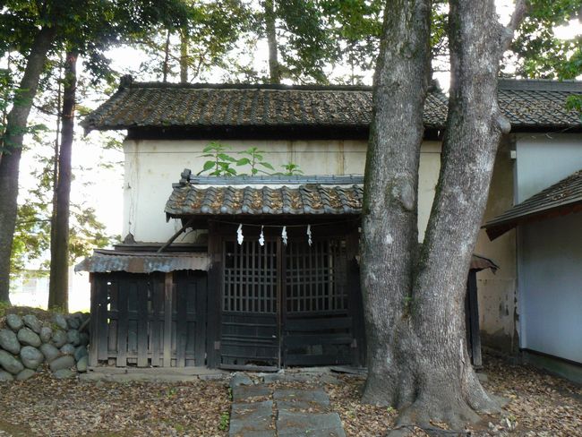 ���a�_��