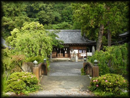 山梨岡神社参道から見た神橋と拝殿の背後に控える青々とした森の画像