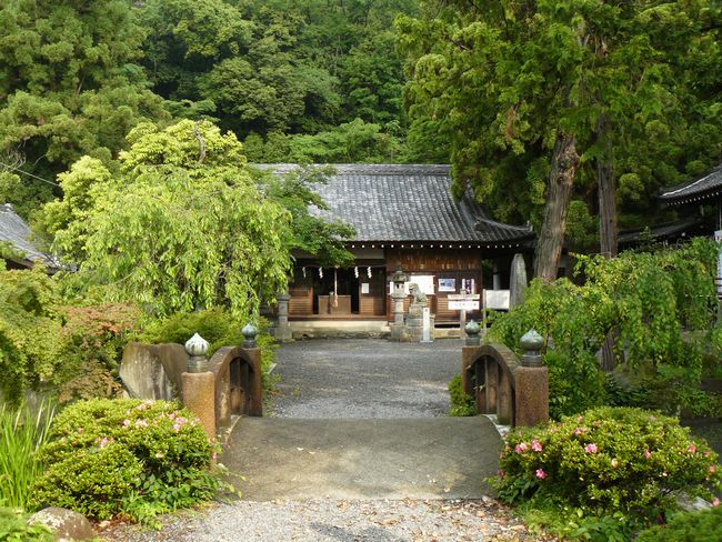 �R�����_��