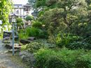 定林寺庭園に設けられた池と石の廻りの庭石と刈り込まれた植栽