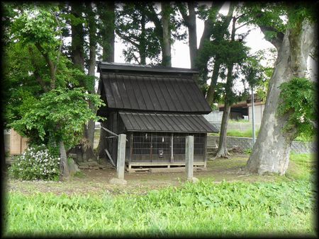 八幡大神社の緑の境内から写した全景画像