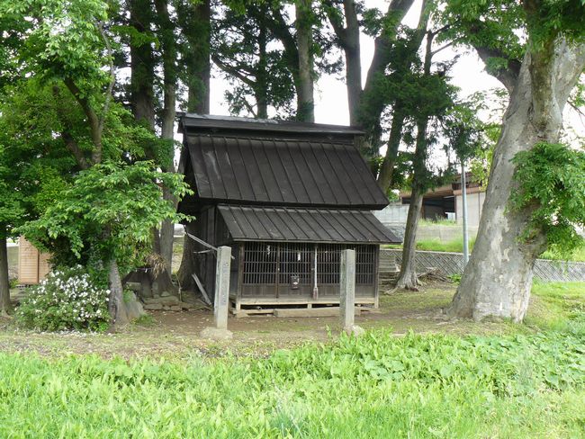 ������_��