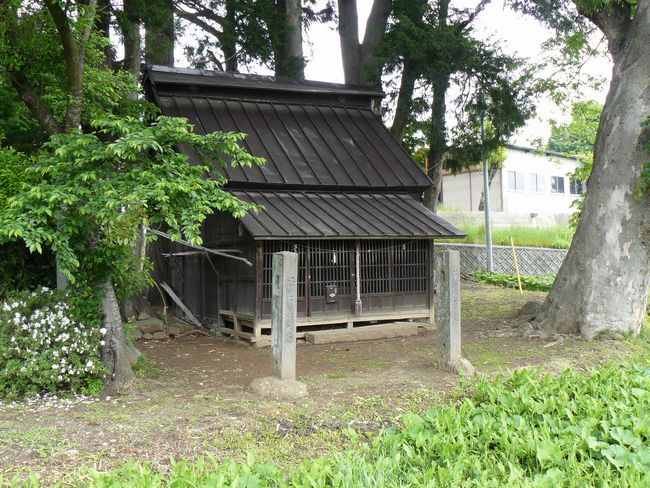 ������_��