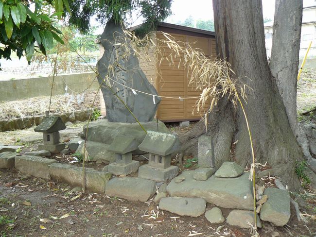 ������_��