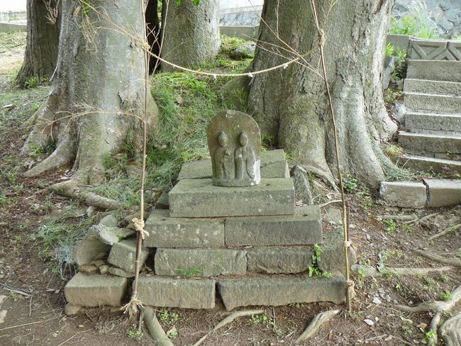 ������_��