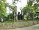 実相寺境内に生える迫力満点の神代桜の全景画像