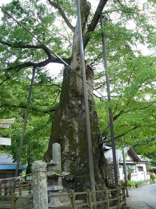 ���É��_��