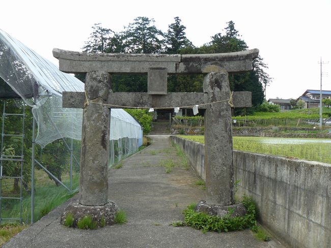 �F�g���_��