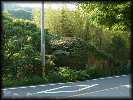亀沢の船石の全景を撮影した画像