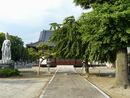 金剛寺参道石畳から見た本堂と銀杏の大木
