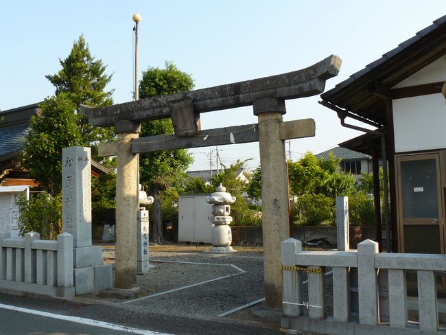 �����_��