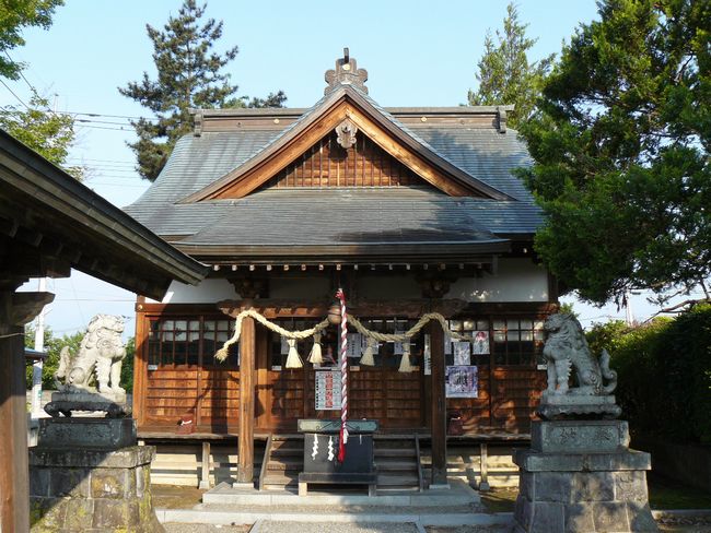 �����_��