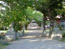 山縣神社境内の清々しい参道にある石造狛犬と石造神橋
