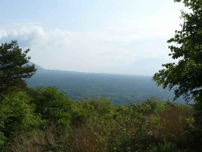 �؃������C