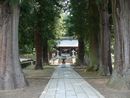秋元喬知と縁がある河口浅間神社の神々しい参道と杉並木