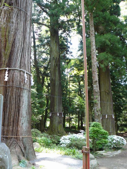 �͌���Ԑ_��