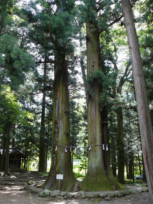 �͌���Ԑ_��