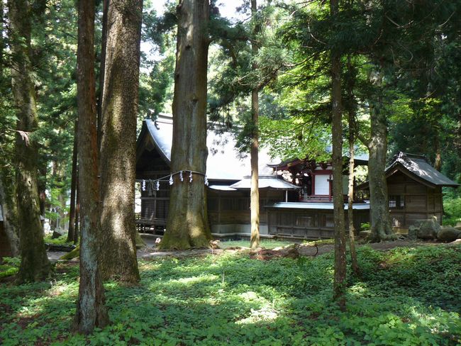 �͌���Ԑ_��