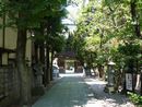穴切大神社の境内に導く参道と石灯篭を写した写真