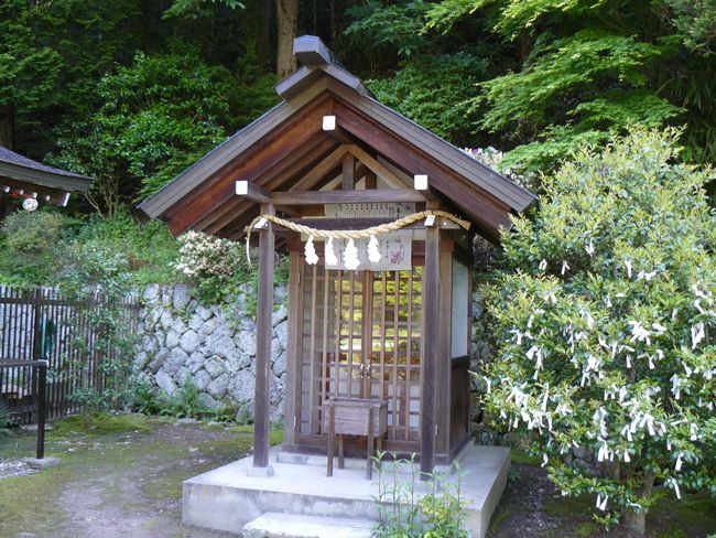 �v�w�ؐ_��