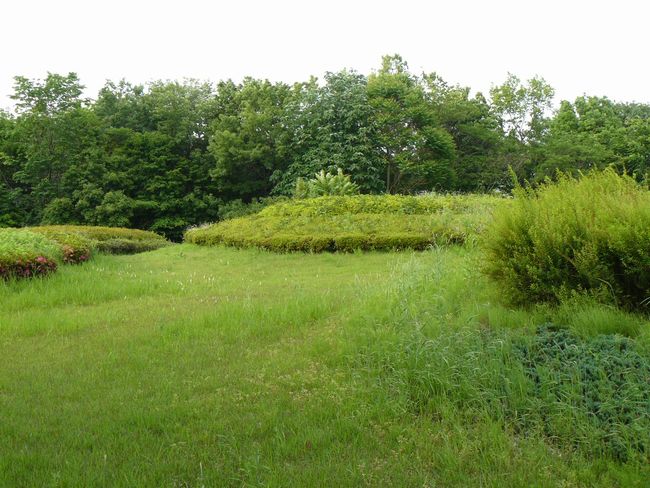 ���R����