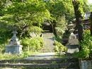 金桜神社参道石段と左右の石燈籠、歴史の重みが感じられる一面です