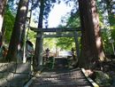 金桜神社石段と地盤を支える石垣、大杉の奥に見える石造鳥居、聖域を印象付ける場面です