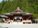 金桜神社拝殿正面と背後の緑豊かな社叢