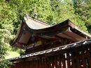 金桜神社透塀越に見える格式が高い雰囲気がある本殿