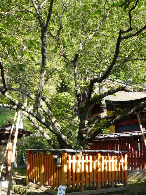 �b�{�s�E�����_��