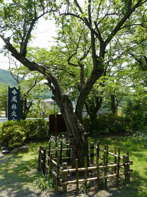 �b�{�s�E���c�M���Α���