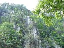 昇仙峡に見られる「寒山拾得岩」と緑が美しい樹木