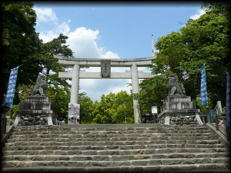 武田神社石段から見上げた大鳥居と相対の石造狛犬