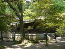 武田神社木造透塀越に垣間見える本殿