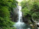 仙娥滝を少し離れた場所から撮った緑と滝のコントラストが素晴らしい写真