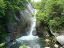 仙娥滝と岩肌と緑の樹木との対比が美しい写真