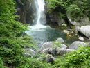 仙娥滝滝壺周辺の景観と深い緑