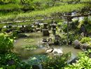 東光寺庭園に構成されてる池