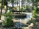 長禅寺の境内に作庭された庭園（心字池）を写した写真