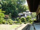 長禅寺のよく手入れされた庭園と借景として取り込んだ木々の緑
