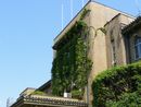 山梨県庁舎正面に緑の蔦に覆われた写真