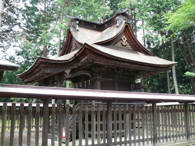 ��������_��