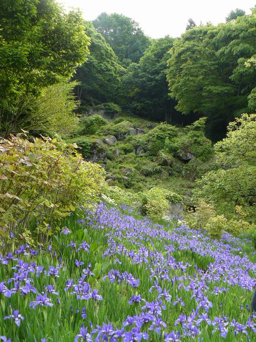 ���_���뉀