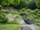 栖雲寺庭園の樹木の深い緑と巨石が織り成すコントラストが幽玄の空間を演出しています