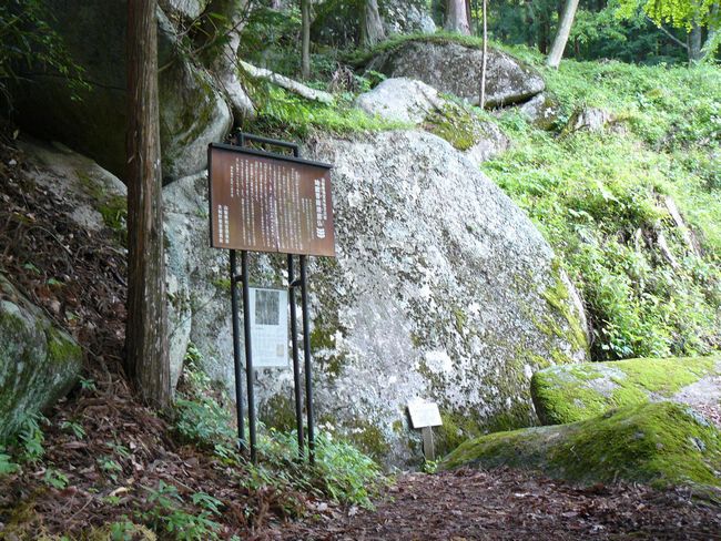 ���_���뉀