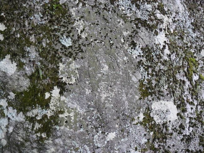 ���_���뉀